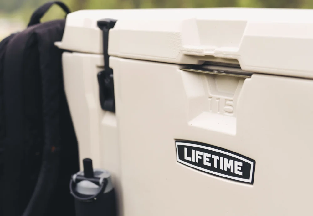 cooler box for ice cream