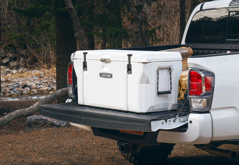 portable car cooler box