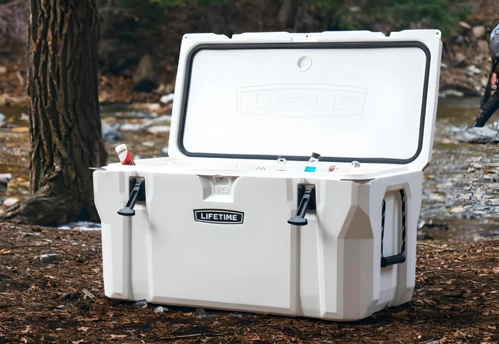 portable car cooler box