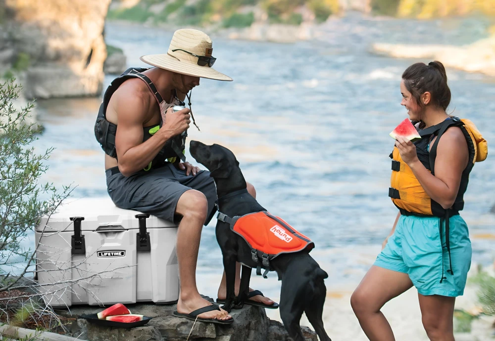 cooling ice chest