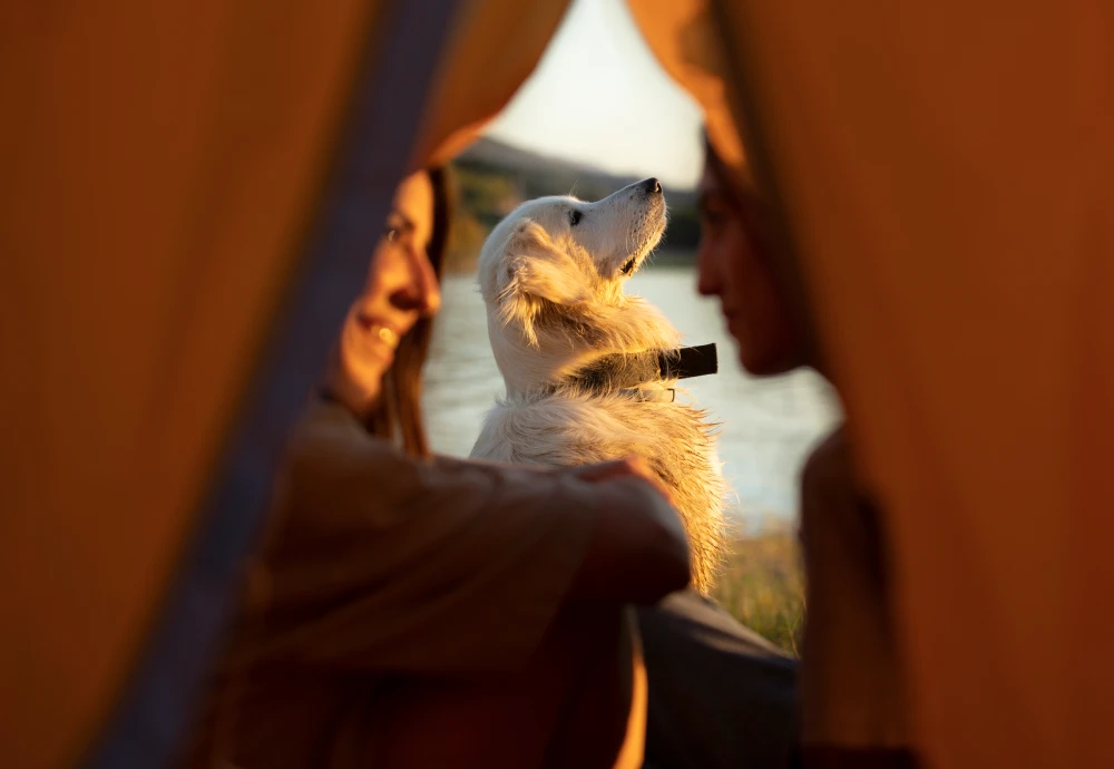 luxe pyramid tent