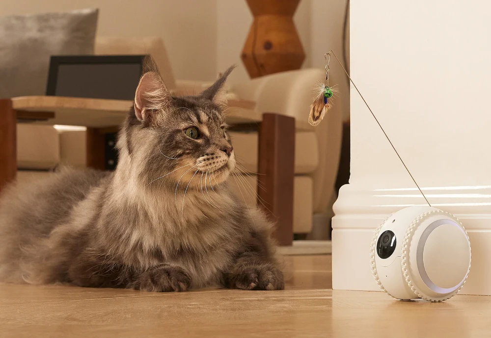 best home security camera for pets