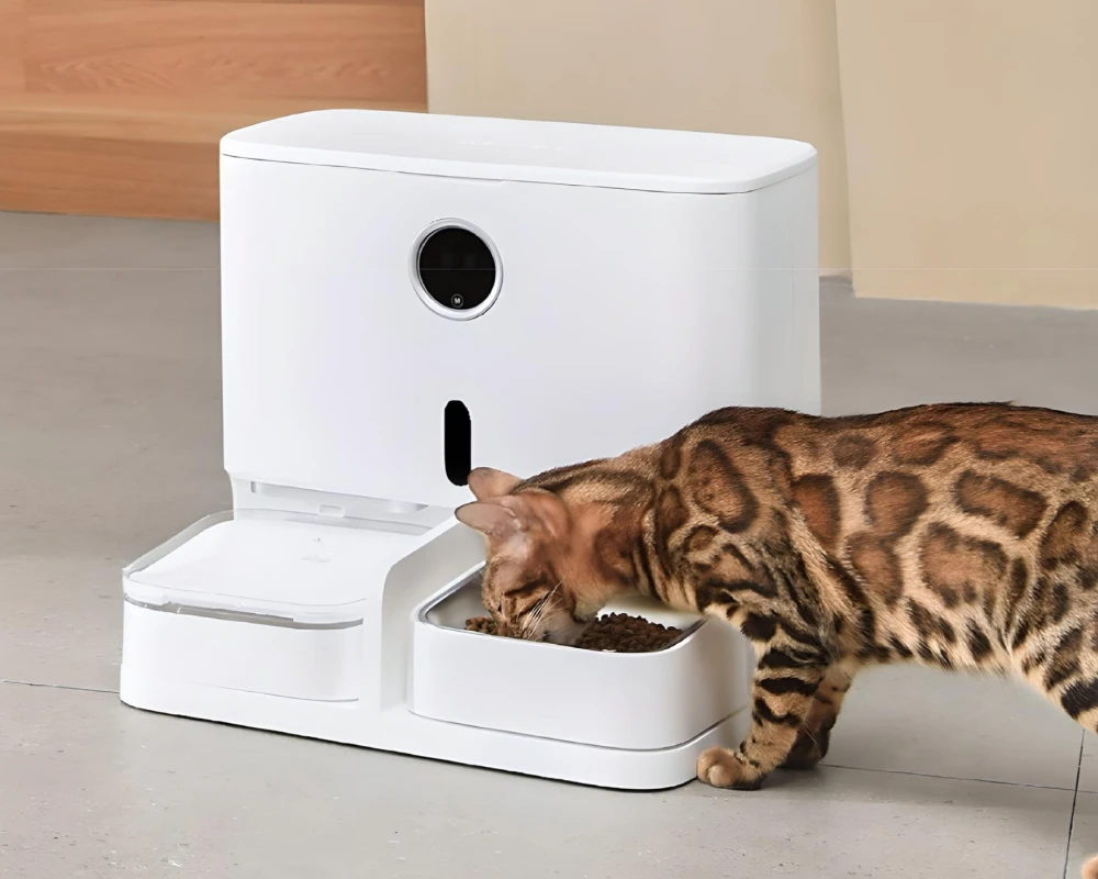 pet smart automatic pet feeder