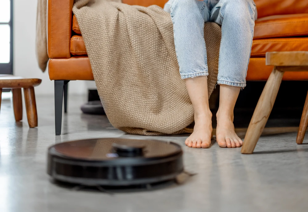 self cleaning vacuum robot